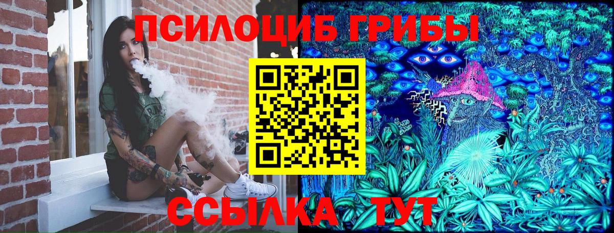 Галлюциногенные грибы мицелий  Галлюциногенные грибы Psilocybine cubensis  Тихвин  купить наркоту  Вход с VPN 