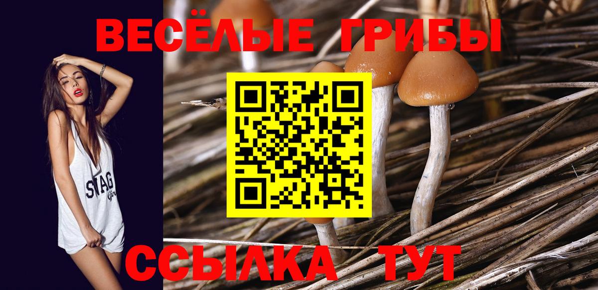 Псилоцибиновые грибы GOLDEN TEACHER Тихвин